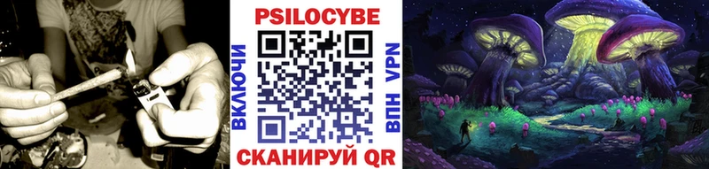 mega сайт  Арамиль  Галлюциногенные грибы Psilocybine cubensis  где можно купить наркотик 