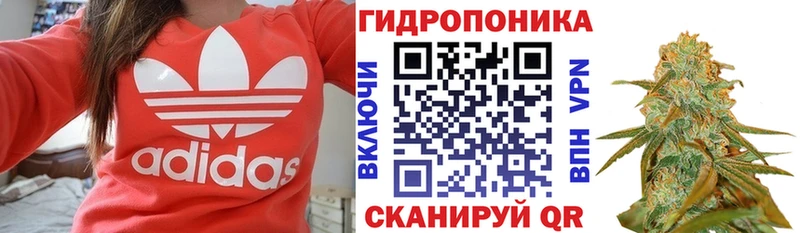 Канабис конопля  блэк спрут как зайти  Арамиль 